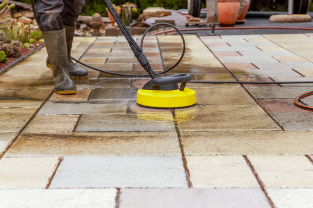 Animal Enclosure Cleaning in San Andreas, CA